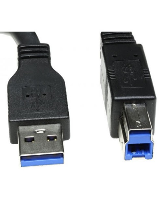 Câble imprimante USB 6FT