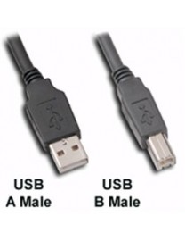 Câble imprimante USB 10FT
