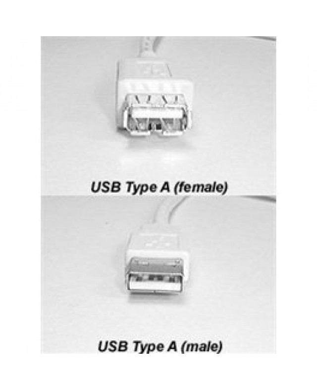 Câble USB Rallonge 10ft