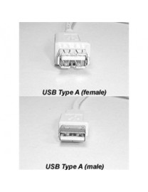 Câble USB Rallonge 6ft