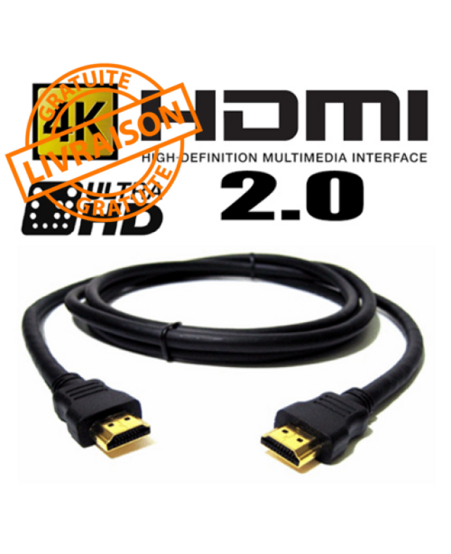 Câble HDMI 6ft 4K